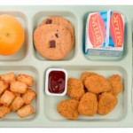 School Food - Chicken Nuggets