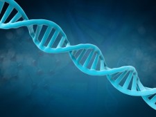 3D DNA via Shutterstock 
