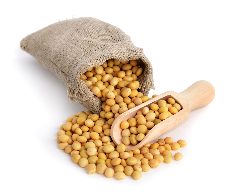soy beans via shutterstock