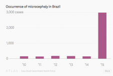 Screen Shot 2016-01-06 at 1.15.27 PM