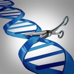 gene editing via shutterstock