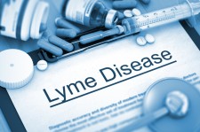Lyme disease via Shutterstock 