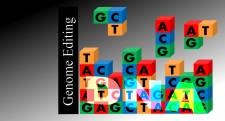 Gene editing via Shutterstock