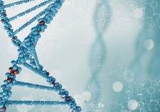 Stem cell research via Shutterstock 