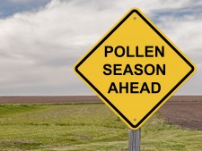 Pollen season via Shutterstock 