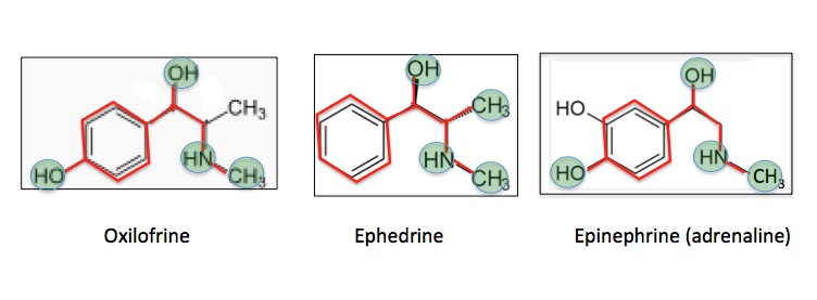 phedrine