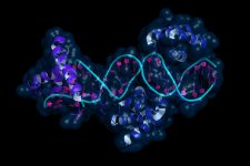 Epigenetics via Shutterstock