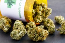 Cannabis via Shutterstock