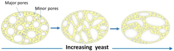 Larger pores in carbon foam made from bread can be created by more yeast or water. (Ye Yuan et al., ACS Appl. Mater. Interfaces, 2016.)