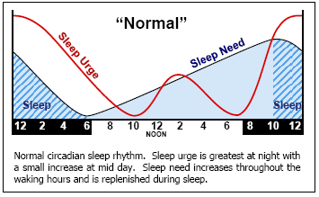 circadian-rhythm-of-an-individual1 2