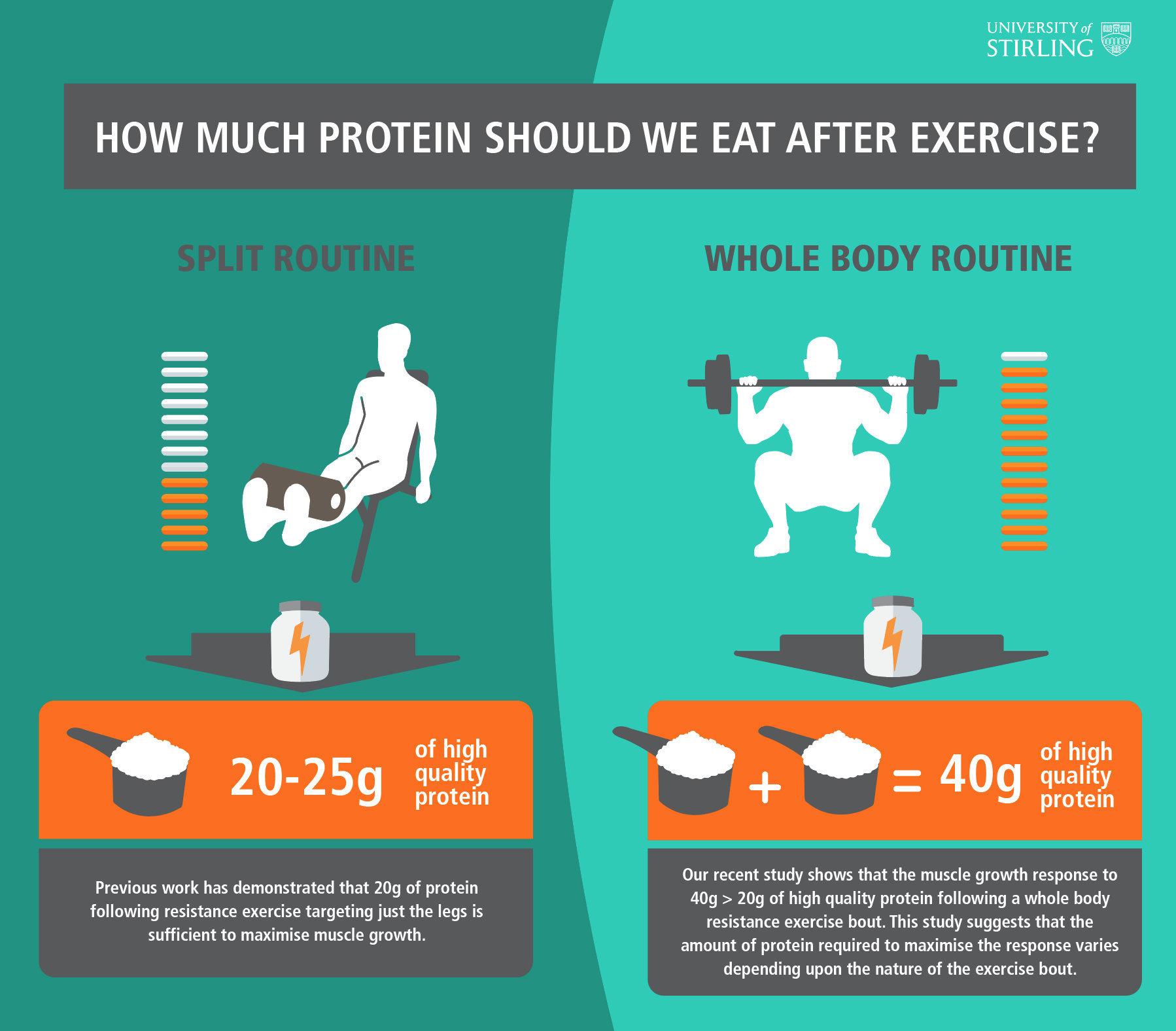 Do Men With More Muscle Need More Protein American Council On 