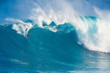 Hamilton surfing, via Shutterstock