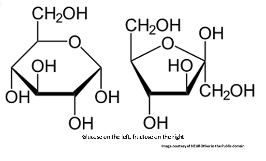 fructose molecule diagram